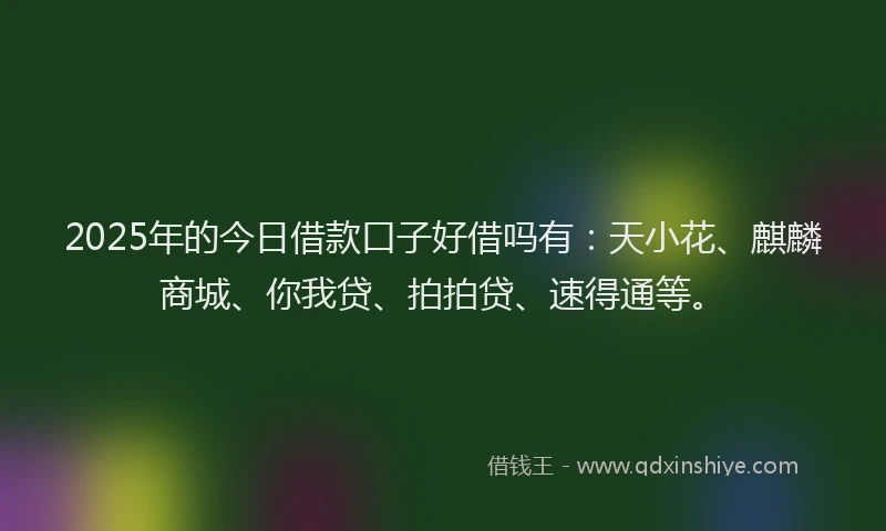 2025年的今日借款口子好借吗有：天小花、麒麟商城、你我贷、拍拍贷、速得通等。
