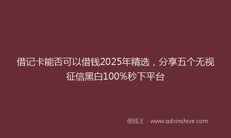 借记卡能否可以借钱2025年精选，分享五个无视征信黑白100%秒下平台