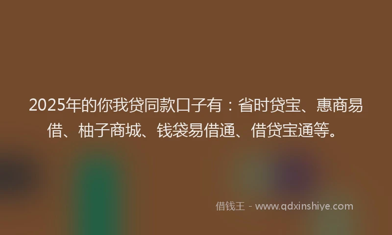 2025年的你我贷同款口子有：省时贷宝、惠商易借、柚子商城、钱袋易借通、借贷宝通等。
