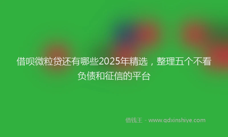 借呗微粒贷还有哪些2025年精选，整理五个不看负债和征信的平台