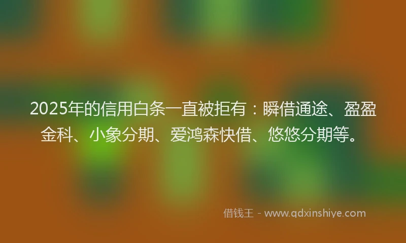 2025年的信用白条一直被拒有：瞬借通途、盈盈金科、小象分期、爱鸿森快借、悠悠分期等。