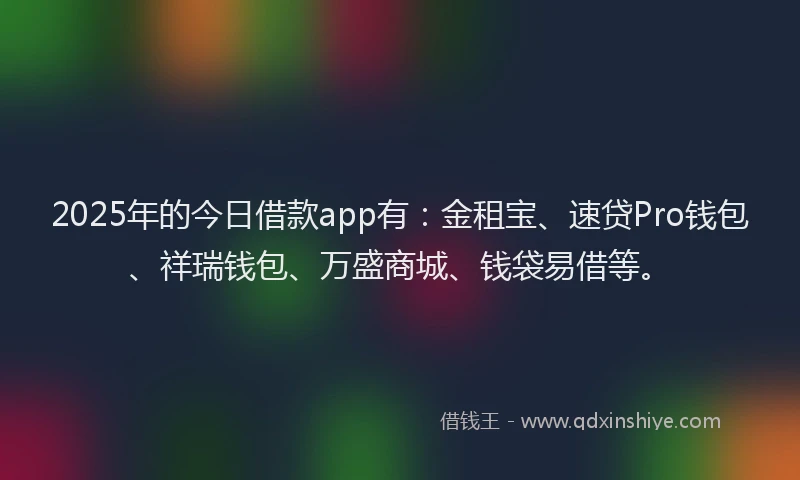 2025年的今日借款app有：金租宝、速贷Pro钱包、祥瑞钱包、万盛商城、钱袋易借等。