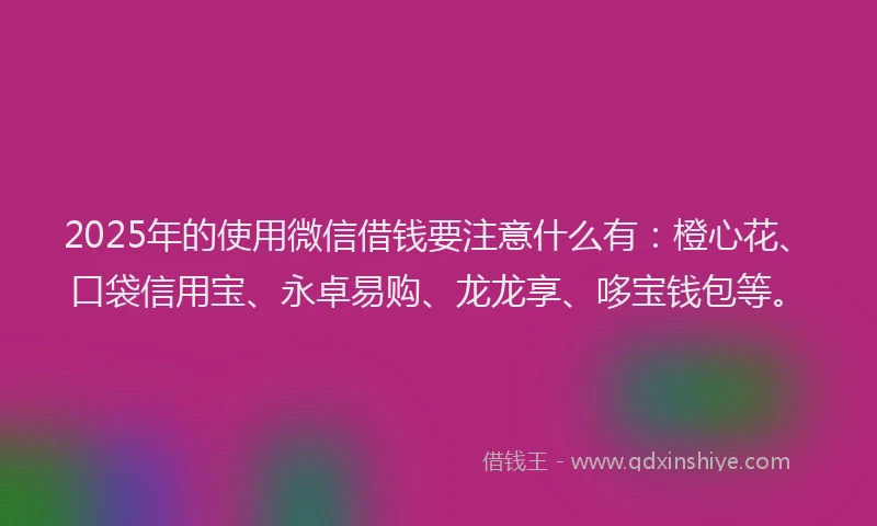 2025年的使用微信借钱要注意什么有：橙心花、口袋信用宝、永卓易购、龙龙享、哆宝钱包等。