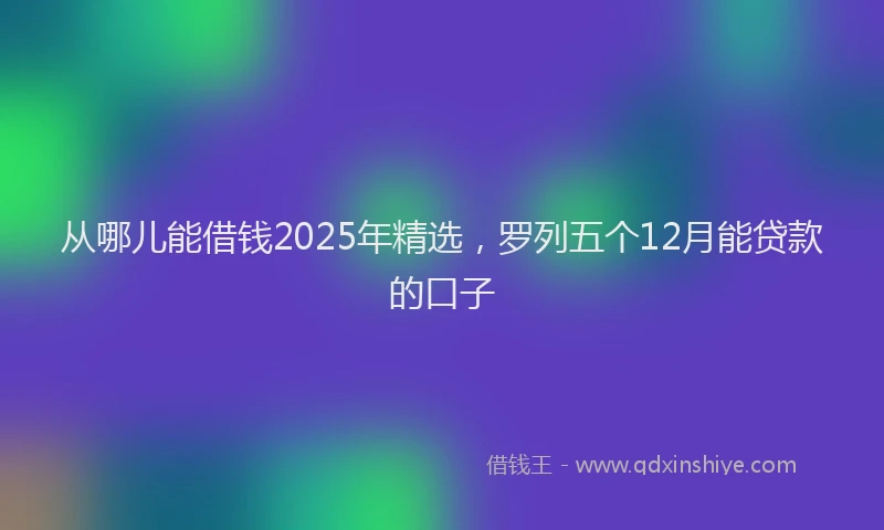 从哪儿能借钱2025年精选，罗列五个12月能贷款的口子