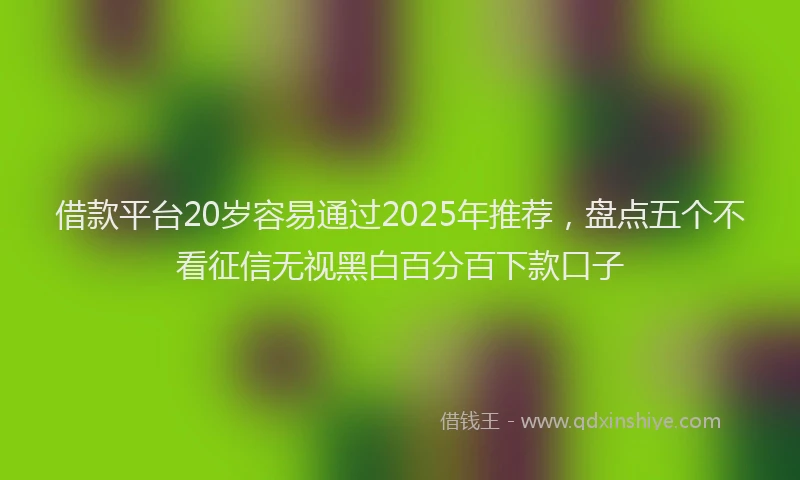 借款平台20岁容易通过2025年推荐，盘点五个不看征信无视黑白百分百下款口子
