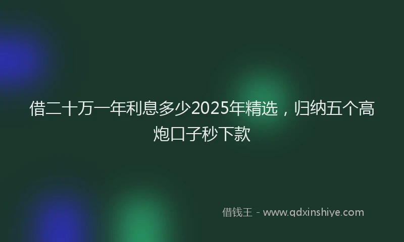 借二十万一年利息多少2025年精选，归纳五个高炮口子秒下款