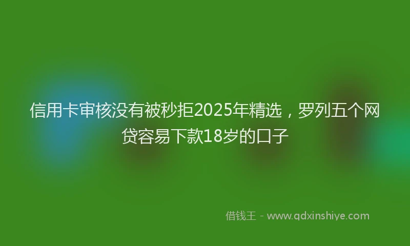信用卡审核没有被秒拒2025年精选，罗列五个网贷容易下款18岁的口子