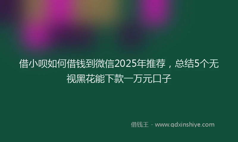 借小呗如何借钱到微信2025年推荐，总结5个无视黑花能下款一万元口子
