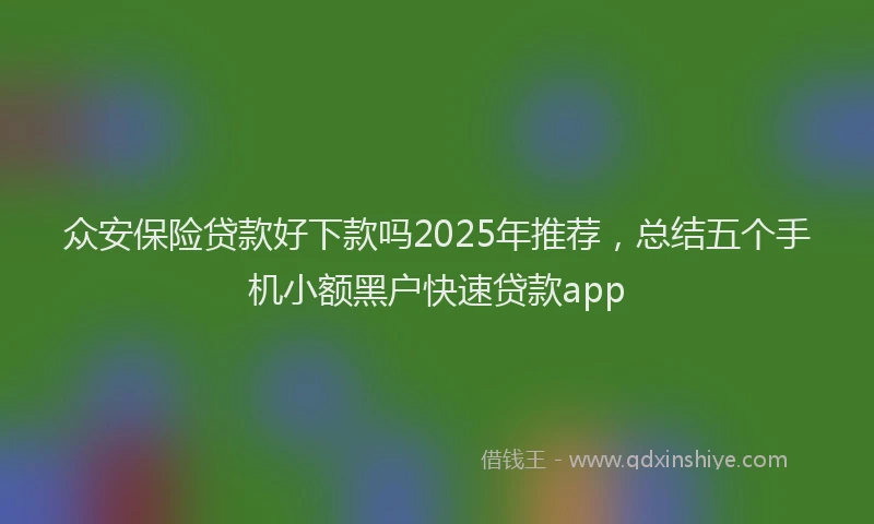 众安保险贷款好下款吗2025年推荐，总结五个手机小额黑户快速贷款app