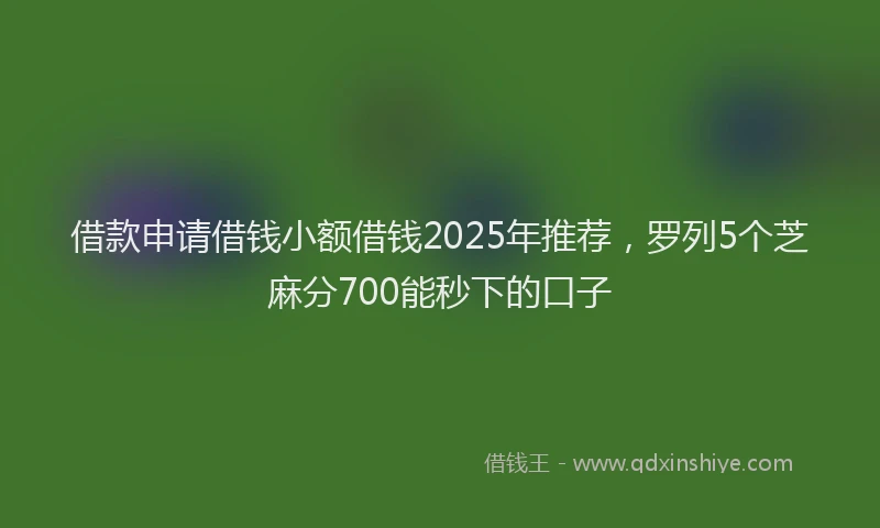借款申请借钱小额借钱2025年推荐，罗列5个芝麻分700能秒下的口子