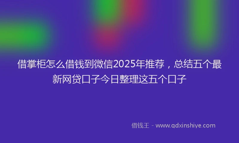 借掌柜怎么借钱到微信2025年推荐，总结五个最新网贷口子今日整理这五个口子