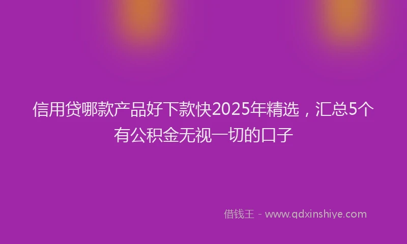 信用贷哪款产品好下款快2025年精选，汇总5个有公积金无视一切的口子