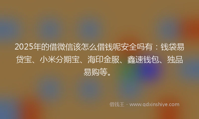 2025年的借微信该怎么借钱呢安全吗有：钱袋易贷宝、小米分期宝、海印金服、鑫速钱包、独品易购等。