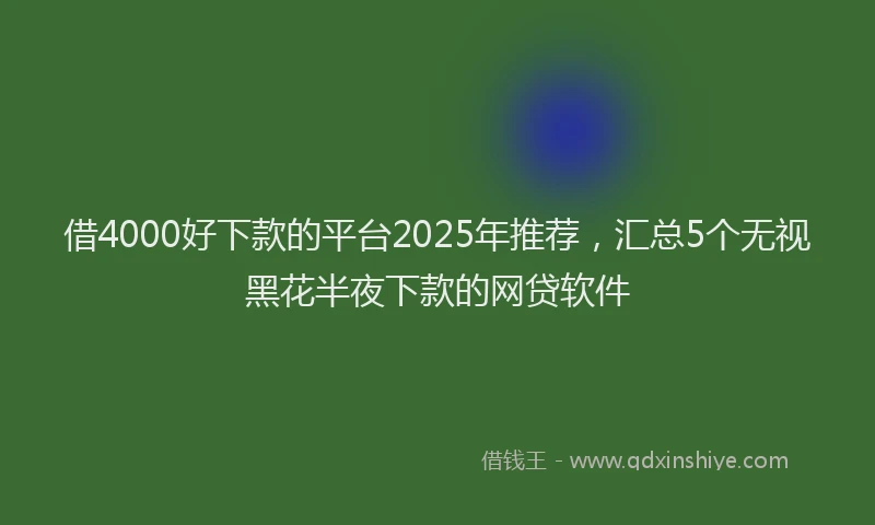 借4000好下款的平台2025年推荐，汇总5个无视黑花半夜下款的网贷软件