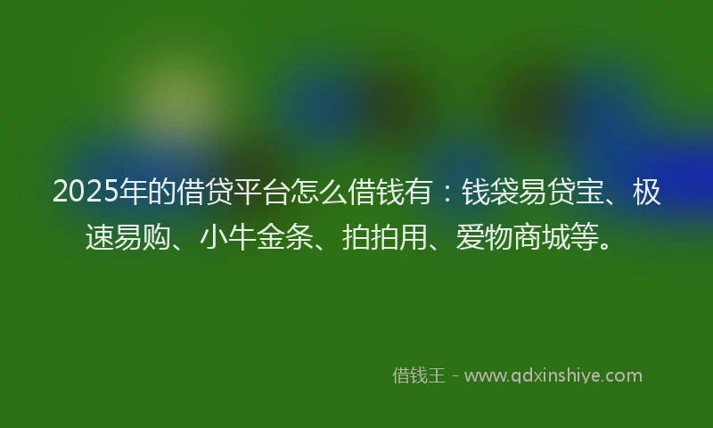 2025年的借贷平台怎么借钱有：钱袋易贷宝、极速易购、小牛金条、拍拍用、爱物商城等。