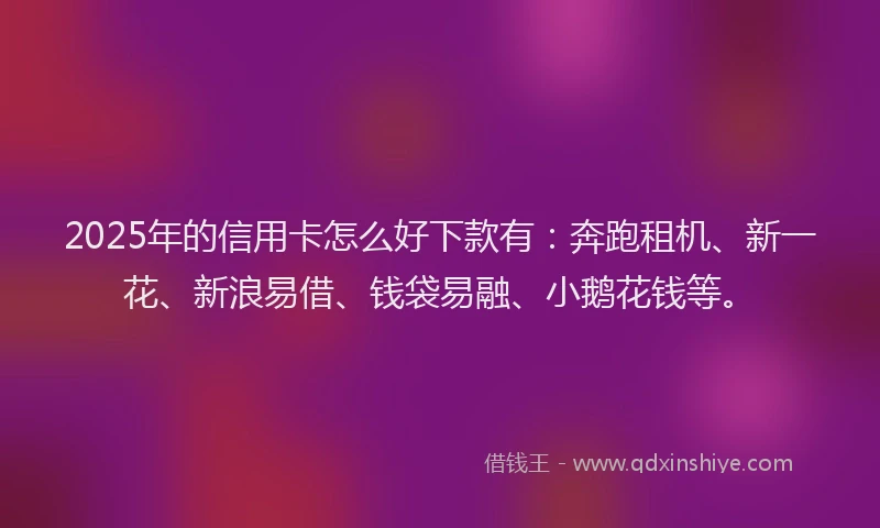 2025年的信用卡怎么好下款有：奔跑租机、新一花、新浪易借、钱袋易融、小鹅花钱等。