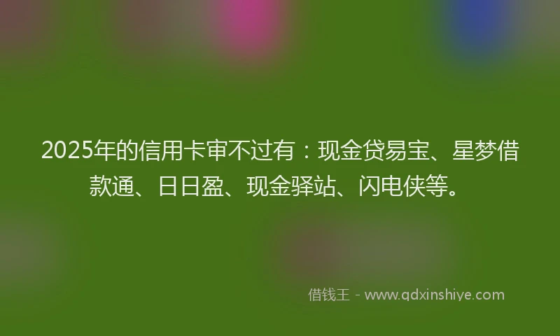 2025年的信用卡审不过有：现金贷易宝、星梦借款通、日日盈、现金驿站、闪电侠等。