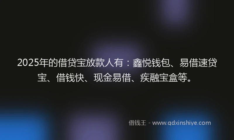 2025年的借贷宝放款人有：鑫悦钱包、易借速贷宝、借钱快、现金易借、疾融宝盒等。