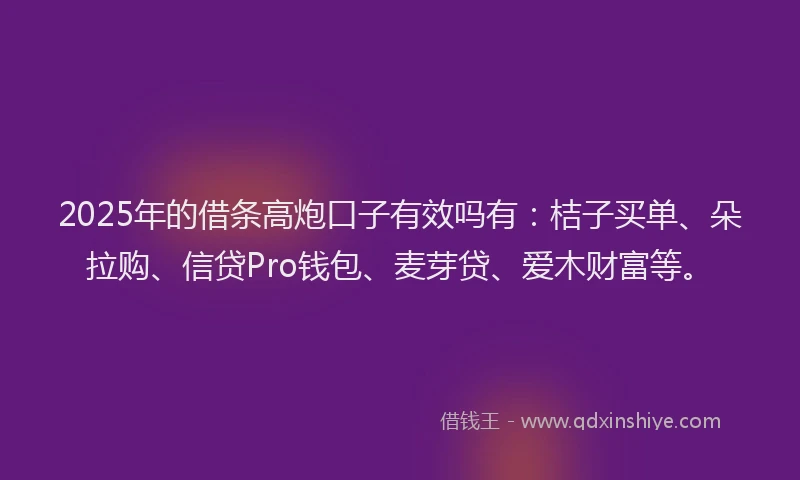 2025年的借条高炮口子有效吗有：桔子买单、朵拉购、信贷Pro钱包、麦芽贷、爱木财富等。
