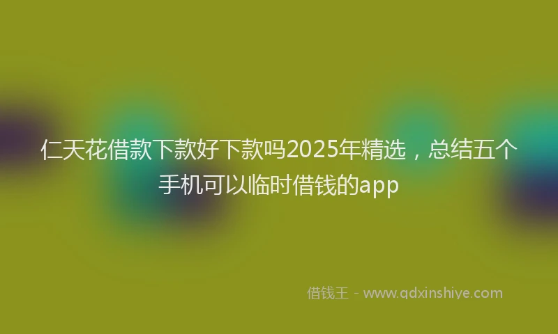 仁天花借款下款好下款吗2025年精选，总结五个手机可以临时借钱的app