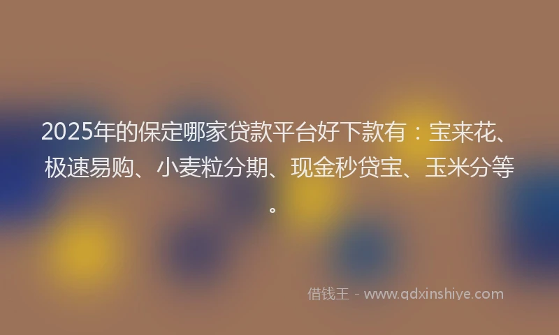 2025年的保定哪家贷款平台好下款有：宝来花、极速易购、小麦粒分期、现金秒贷宝、玉米分等。