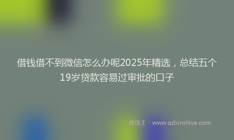借钱借不到微信怎么办呢2025年精选，总结五个19岁贷款容易过审批的口子