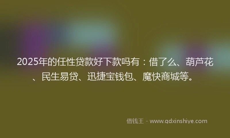 2025年的任性贷款好下款吗有：借了么、葫芦花、民生易贷、迅捷宝钱包、魔快商城等。