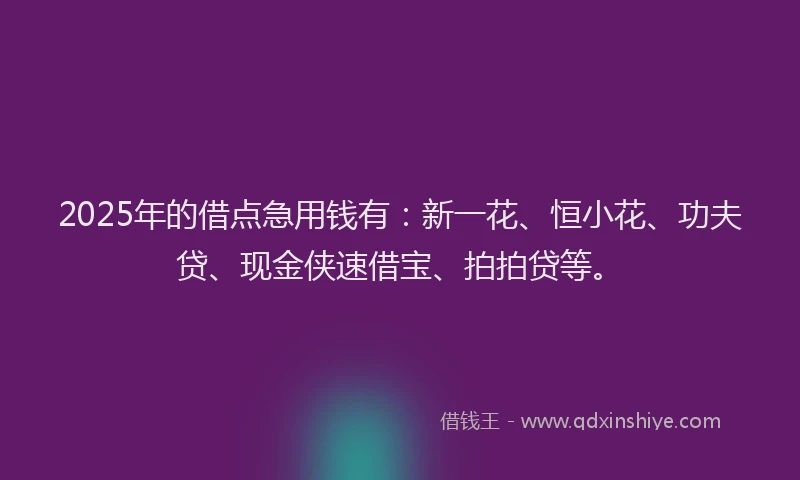 2025年的借点急用钱有：新一花、恒小花、功夫贷、现金侠速借宝、拍拍贷等。