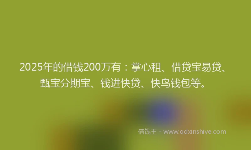 2025年的借钱200万有：掌心租、借贷宝易贷、甄宝分期宝、钱进快贷、快鸟钱包等。
