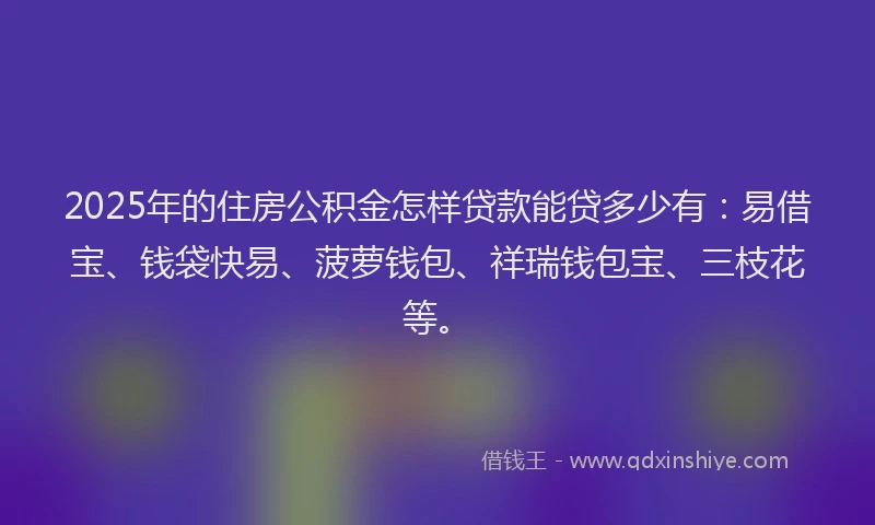 2025年的住房公积金怎样贷款能贷多少有：易借宝、钱袋快易、菠萝钱包、祥瑞钱包宝、三枝花等。