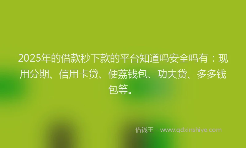 2025年的借款秒下款的平台知道吗安全吗有：现用分期、信用卡贷、便荔钱包、功夫贷、多多钱包等。