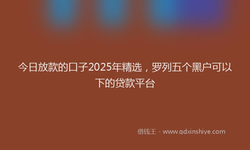 今日放款的口子2025年精选，罗列五个黑户可以下的贷款平台