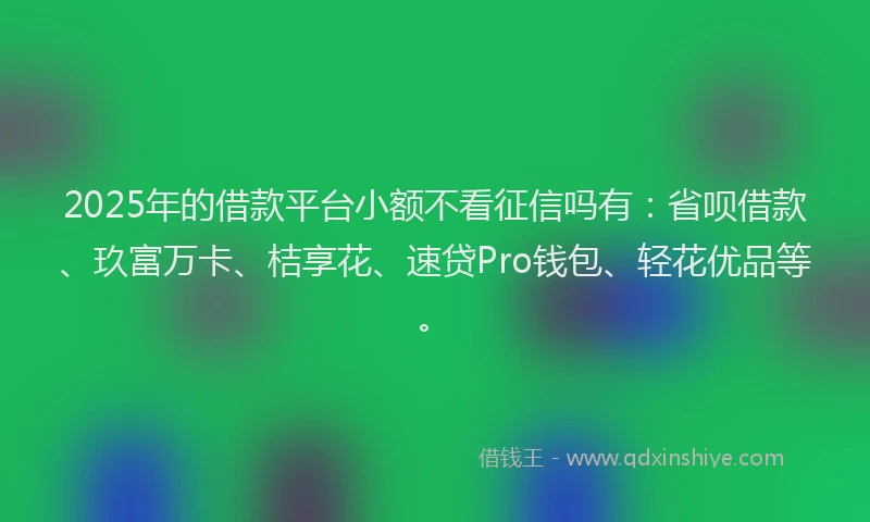 2025年的借款平台小额不看征信吗有：省呗借款、玖富万卡、桔享花、速贷Pro钱包、轻花优品等。