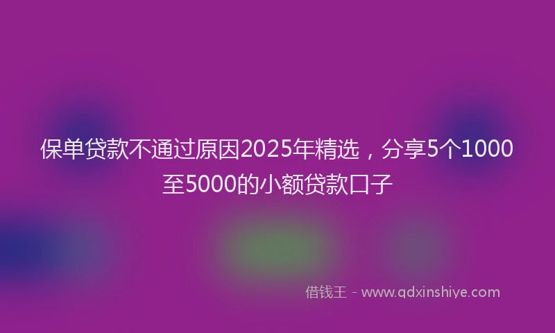 保单贷款不通过原因2025年精选，分享5个1000至5000的小额贷款口子