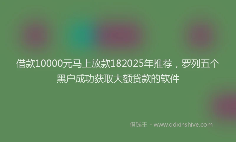 借款10000元马上放款182025年推荐，罗列五个黑户成功获取大额贷款的软件