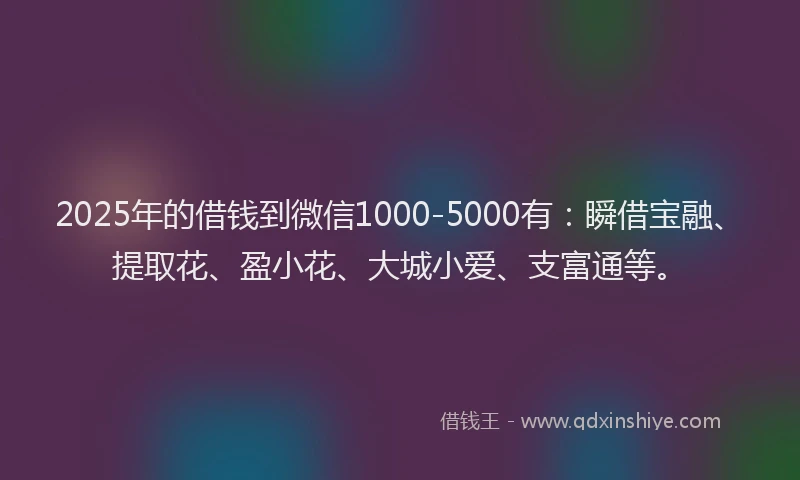 2025年的借钱到微信1000-5000有：瞬借宝融、提取花、盈小花、大城小爱、支富通等。