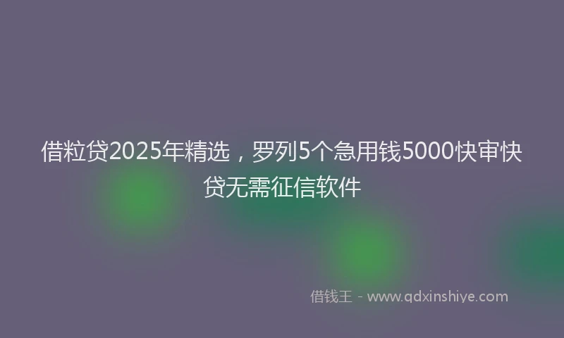 借粒贷2025年精选，罗列5个急用钱5000快审快贷无需征信软件