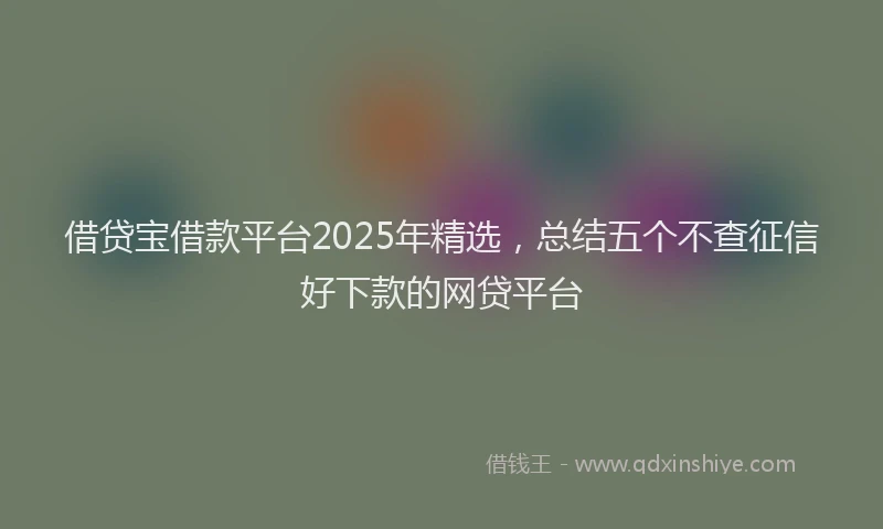 借贷宝借款平台2025年精选，总结五个不查征信好下款的网贷平台