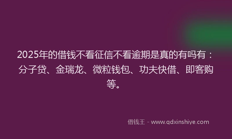 2025年的借钱不看征信不看逾期是真的有吗有：分子贷、金瑞龙、微粒钱包、功夫快借、即客购等。
