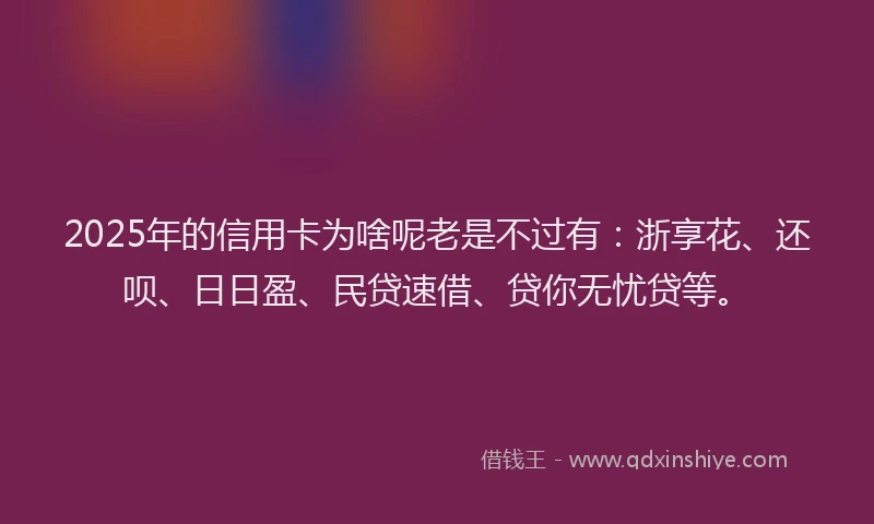 2025年的信用卡为啥呢老是不过有：浙享花、还呗、日日盈、民贷速借、贷你无忧贷等。
