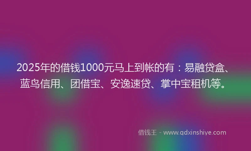2025年的借钱1000元马上到帐的有：易融贷盒、蓝鸟信用、团借宝、安逸速贷、掌中宝租机等。