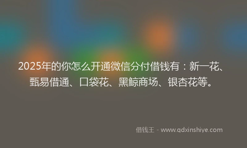 2025年的你怎么开通微信分付借钱有：新一花、甄易借通、口袋花、黑鲸商场、银杏花等。
