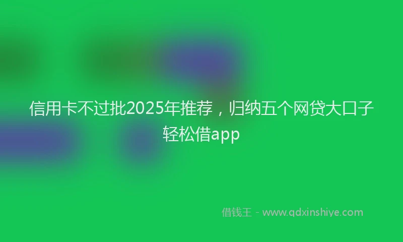 信用卡不过批2025年推荐，归纳五个网贷大口子轻松借app
