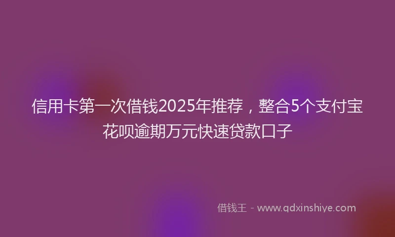信用卡第一次借钱2025年推荐，整合5个支付宝花呗逾期万元快速贷款口子