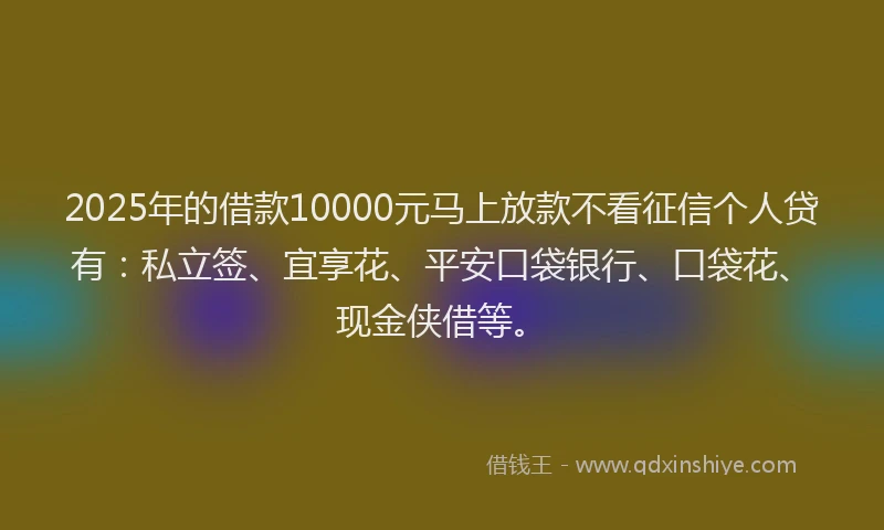 2025年的借款10000元马上放款不看征信个人贷有：私立签、宜享花、平安口袋银行、口袋花、现金侠借等。
