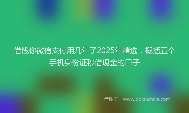 借钱你微信支付用几年了2025年精选，概括五个手机身份证秒借现金的口子