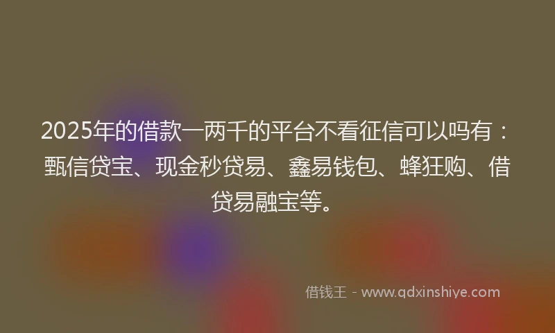 2025年的借款一两千的平台不看征信可以吗有：甄信贷宝、现金秒贷易、鑫易钱包、蜂狂购、借贷易融宝等。