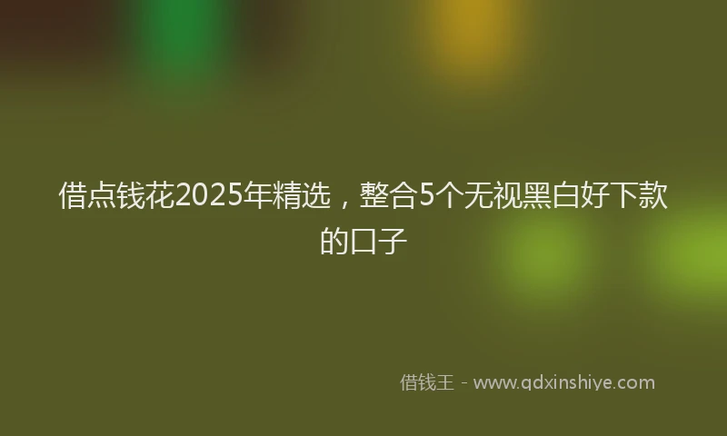 借点钱花2025年精选，整合5个无视黑白好下款的口子