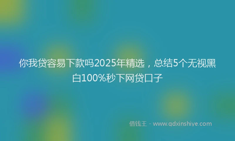 你我贷容易下款吗2025年精选，总结5个无视黑白100%秒下网贷口子