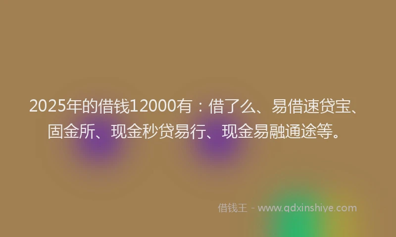2025年的借钱12000有：借了么、易借速贷宝、固金所、现金秒贷易行、现金易融通途等。